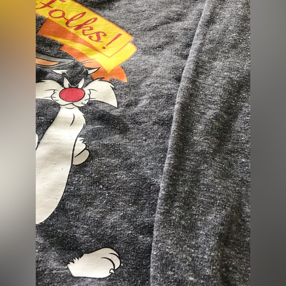 COPY - Looney Tunes “That’s All Folks” Jacket w/ Hoodie pocket w/ flaws - Picture 6 of 7